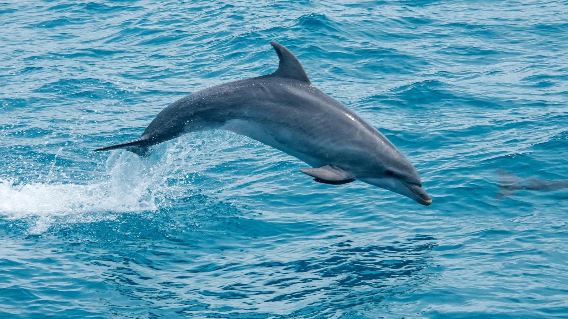 Pousada Vista Pro Mar Ilhabela Dış mekan fotoğraf
